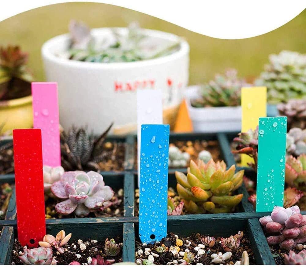 耐久性のあるプラスチック製の植物ラベル 100個 簡単に洗浄 Amazon | 大和プラスチック ヤマト フラワーラベル(100枚入) 7.5cm